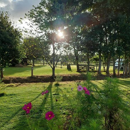 Erfgoed De Boemerang - Chalets Meppen Exteriér fotografie