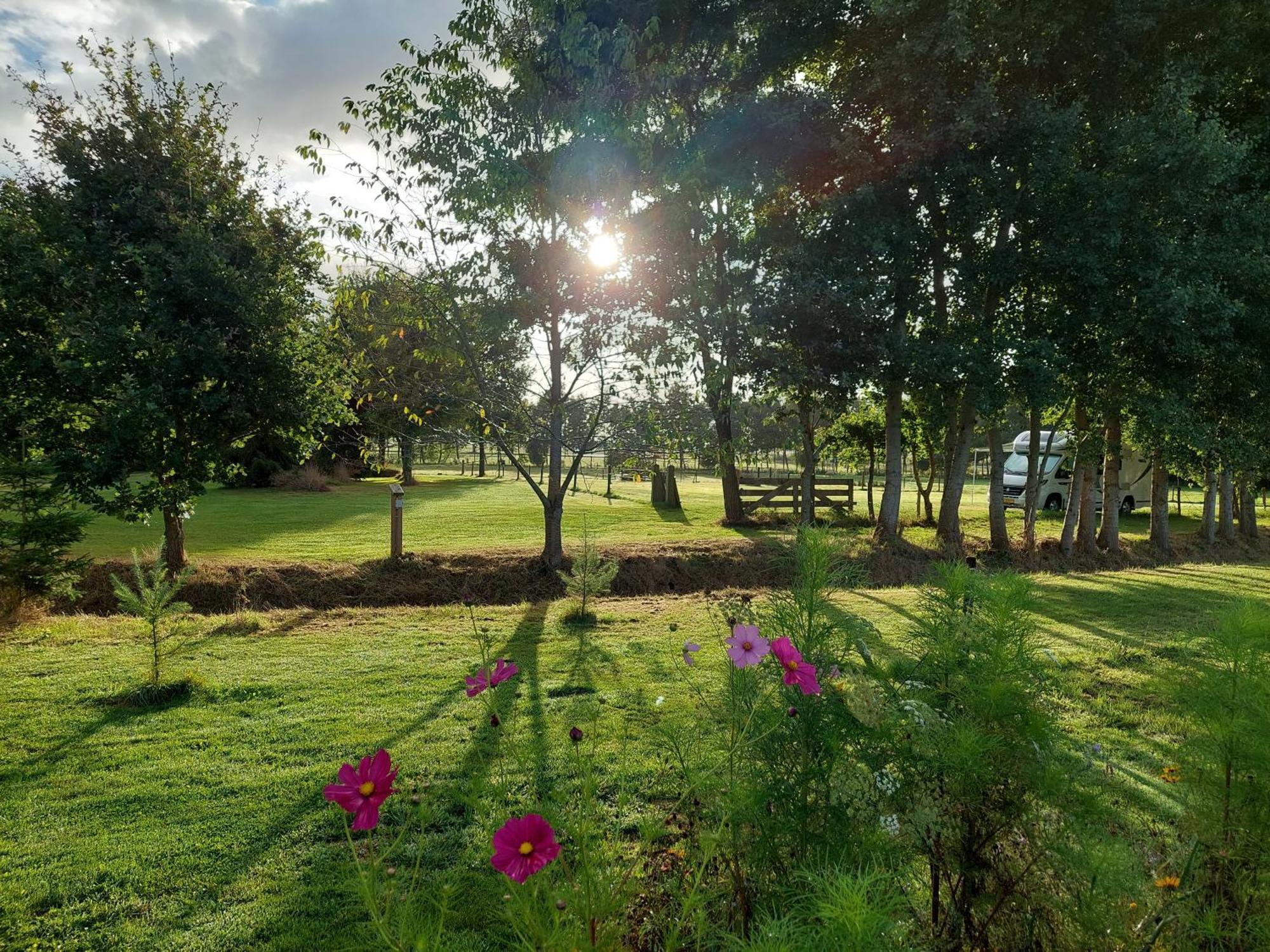 Erfgoed De Boemerang - Chalets Meppen Exteriér fotografie